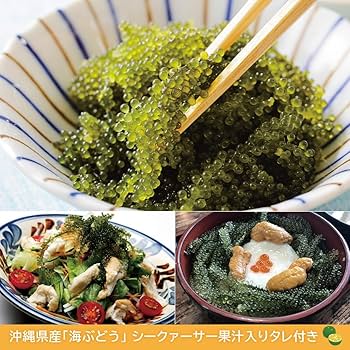 茎付き 生！海ぶどう1kg（シークヮーサー果汁入りタレ付き